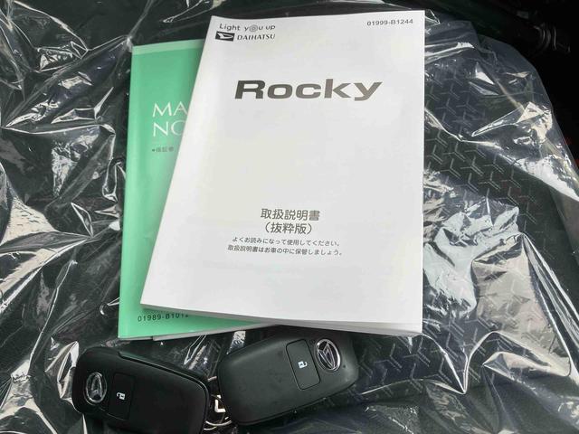 ロッキープレミアムＧ（沖縄県）の中古車