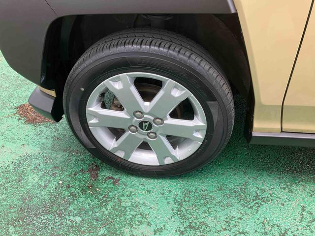 タフトＧ　クロムベンチャー（沖縄県）の中古車