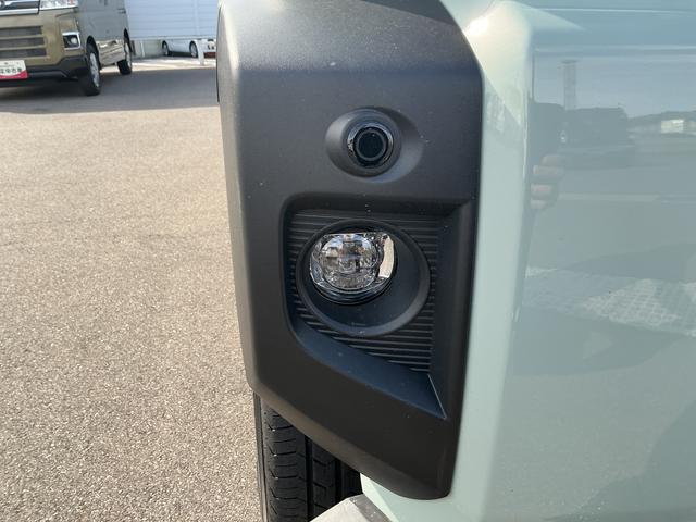 タフトＧ　ダーククロムベンチャー（長野県）の中古車