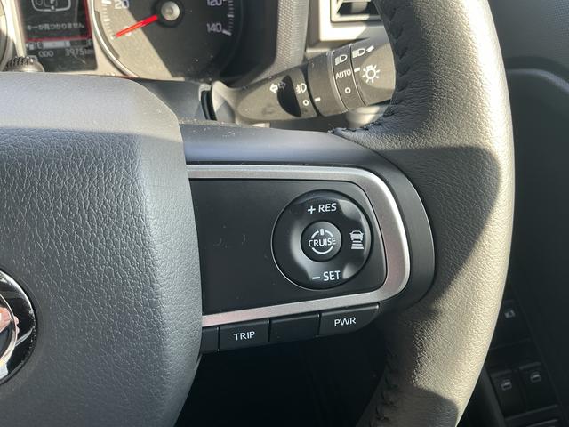 タフトＧ　ダーククロムベンチャー（長野県）の中古車