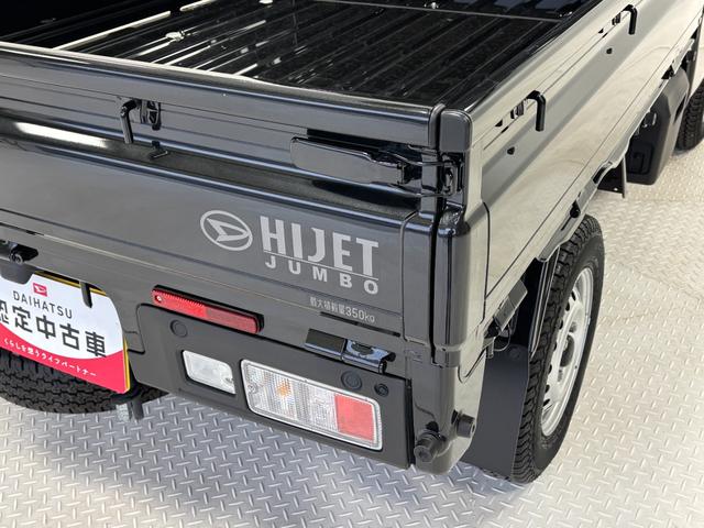 ハイゼットトラックジャンボエクストラカーナビ　オートライト　荷台作業灯　ＭＴ　マニュアルエアコン　ＬＥＤヘッドランプ　ＬＥＤフォグランプ（長野県）の中古車