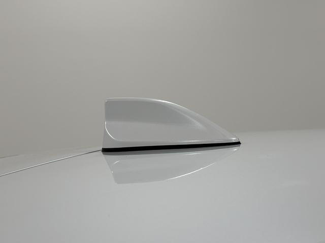 ロッキープレミアムドラレコ　ＥＴＣ　追従機能　純正ナビ　パノラマモニター　Ｂｌｕｅｔｏｏｔｈ　ワンセグ　ＣＤ，ＤＶＤ　ＵＳＢソケット　両側シートヒーター　ＬＥＤ　オートライト　プッシュスタート　キーフリー　スマアシ（長野県）の中古車