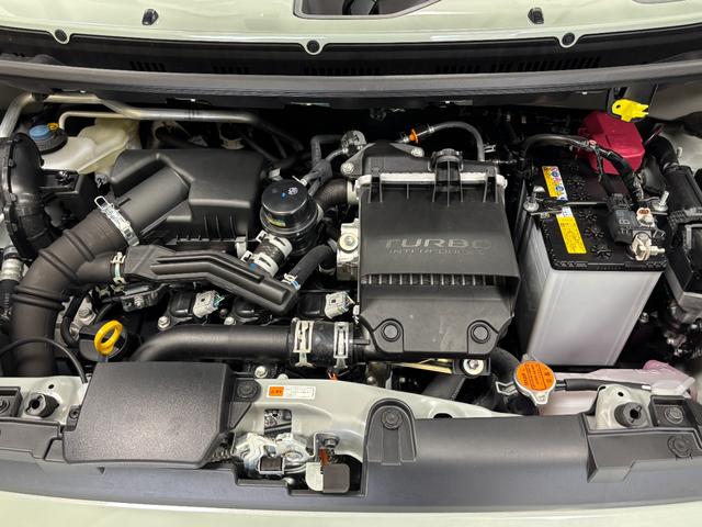 タフトＧターボ　ダーククロムベンチャー　ｅｃｏ　ＩＤＬＥ非装着車（長野県）の中古車