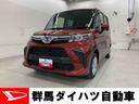 （群馬県）の中古車