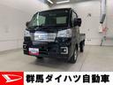 （群馬県）の中古車