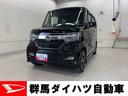 （群馬県）の中古車