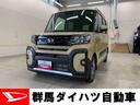 （群馬県）の中古車