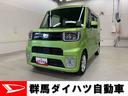 （群馬県）の中古車