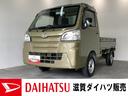 ４枚リーフ（滋賀県）の中古車