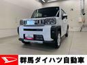 （群馬県）の中古車