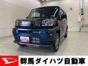 （群馬県）の中古車