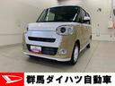 （群馬県）の中古車