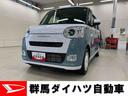 （群馬県）の中古車