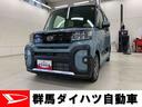 （群馬県）の中古車