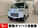 （群馬県）の中古車