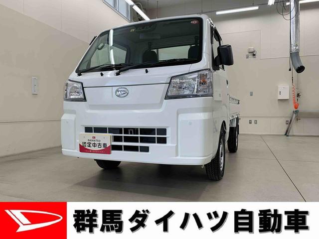 ハイゼットトラックスタンダード　４ＷＤ（群馬県）の中古車