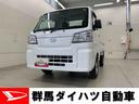 （群馬県）の中古車