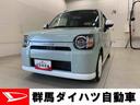 （群馬県）の中古車