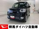 （群馬県）の中古車