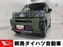 （群馬県）の中古車