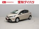 スマートキー　メモリナビ　ＥＴＣ（愛知県）の中古車