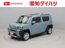 アイドリングストップ　プッシュスタート　エアバック　ＡＢＳ　ＣＶＴ　キーフリー（愛知県）の中古車