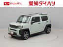 バックカメラ　アイドリングストップ　プッシュスタート　エアバック　ＡＢＳ　ＣＶＴ　キーフリー（愛知県）の中古車