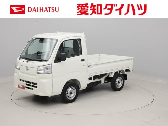 ハイゼットトラックスタンダード（愛知県）の中古車