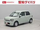 （愛知県）の中古車