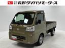 ＡＭ・ＦＭラジオ　テールゲートチェーン　オートライト（長野県）の中古車