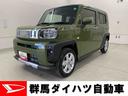 ＬＥＤヘッドライト・バックカメラ・シートヒーター（群馬県）の中古車