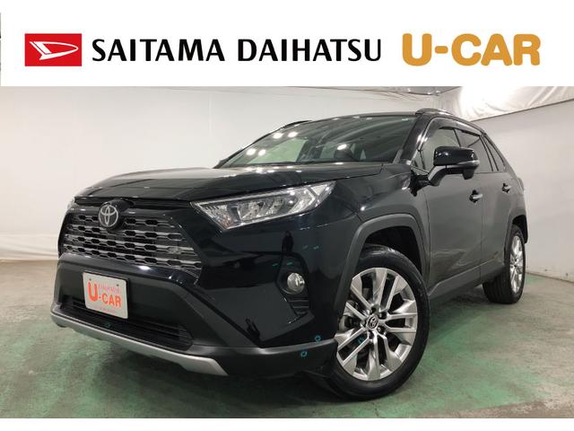 ＲＡＶ４Ｇ　Ｚパッケージ　４ＷＤ／車検整備付／走行距離３４９４２キロ１年保証距離無制限　走行距離３４９４２キロ　社外フルセグナビ　バックカメラ　ブルートゥース　純正カーペットマット　ＥＴＣ　サイドエアバッグ　ＬＥＤヘッドランプ　シートヒーター（埼玉県）の中古車