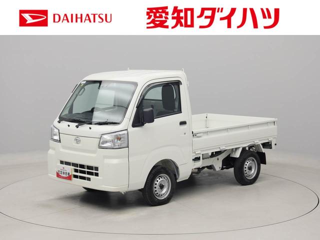 ハイゼットトラックスタンダード（愛知県）の中古車