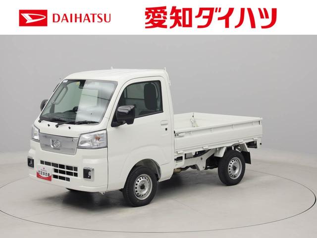 ハイゼットトラックＥＸＴ（愛知県）の中古車