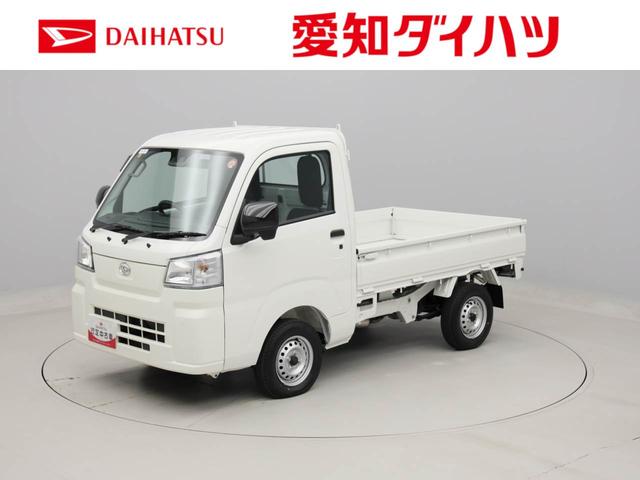 ハイゼットトラックスタンダード（愛知県）の中古車