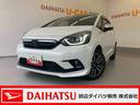 メモリーナビ・バックカメラ・前後ドラレコ（和歌山県）の中古車