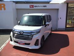 (栃木県)