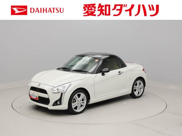コペンローブ（愛知県）の中古車