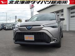  (北海道)