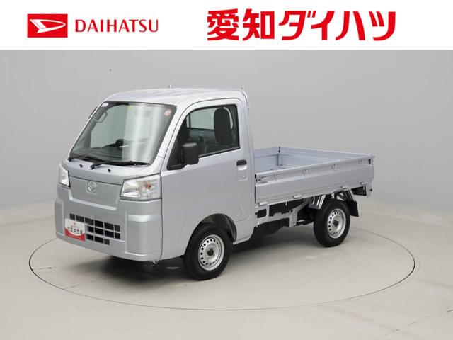 ハイゼットトラックスタンダード（愛知県）の中古車