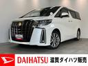 追突被害軽減ブレーキ　ＴＳＳ　コーナーセンサー　ＬＥＤ　レーダークルーズコントロール　両側電動スライドドア　９インチフルセグナビ　ＤＶＤ　Ｂｌｕｅｔｏｏｔｈ　バックカメラ　ＥＴＣ車載器（滋賀県）の中古車