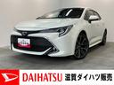 追突被害軽減ブレーキ　ＴＳＳ　コーナーセンサー　ＬＥＤ　スマートキー　レーダークルーズコントロール　９インチフルセグナビ　ＤＶＤ　Ｂｌｕｅｔｏｏｔｈ　バックカメラ　ドラレコ（滋賀県）の中古車