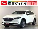 １年保証　ＡＷＤ　ナビＴＶ　全方位カメラ　アダプティブクルーズコントロール　ブラインドスポットモニタリング　ヘッドアップディスプレイ　電動リアゲート　衝突軽減ブレーキ　１９インチアルミホイール（兵庫県）の中古車