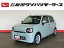 （車内　消臭・抗菌　処理済）　衝突被害軽減システム　ナビ　パノラマモニター　キーフリーシステム（新潟県）の中古車