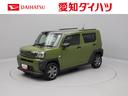 メモリーナビ　ＥＴＣ　バックカメラ　衝突軽減装備（愛知県）の中古車