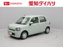 （愛知県）の中古車