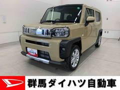 (群馬県)  (群馬県)