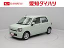 メモリーナビ　バックカメラ　ＥＴＣ　衝突軽減装備（愛知県）の中古車