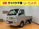 社外１２インチアルミホイール　ＣＤラジオチューナー　ＡＵＸ接続　荷台作業灯　パワーウインドウ　助手席シートバックポケット＋ショッピングフック　キーレスエントリー　フロントゴールドメッキグリル（千葉県）の中古車
