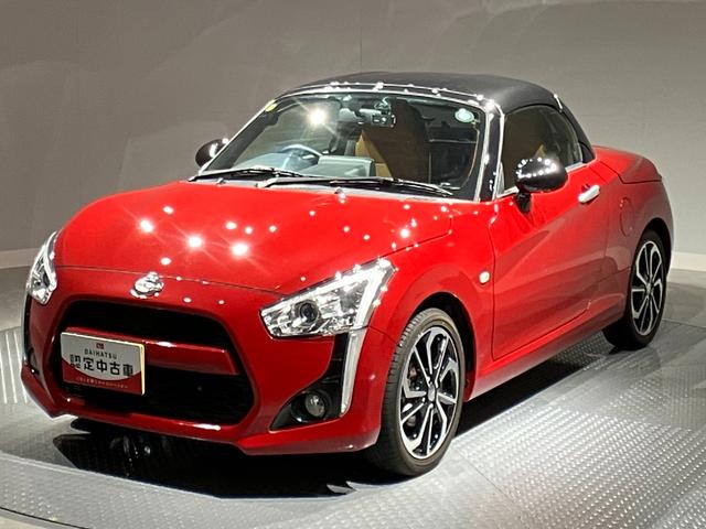 コペンローブ（岩手県）の中古車